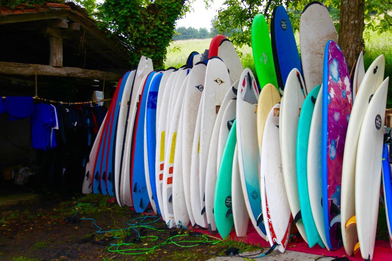 Aia Surf Camp San Sebastian Partyhostel מראה חיצוני תמונה